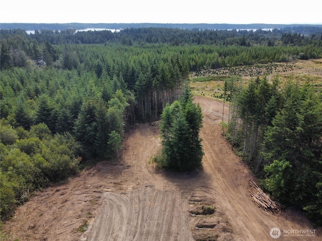 20 E Cascade Vw, Allyn, WA 98524 - photo 24