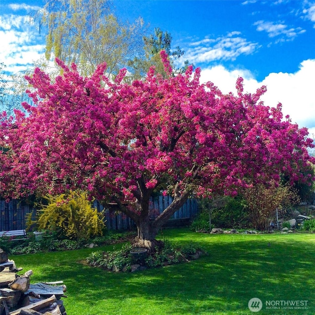 1108 Dale St SE, East Wenatchee, WA 98802 - view of green lawn