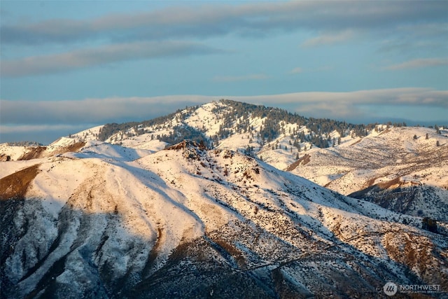 1108 Dale St SE, East Wenatchee, WA 98802 - view of mountain background