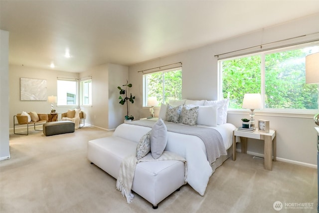 1913 NE 32nd St, Renton, WA 98056 - bedroom featuring baseboards, light carpet, and multiple windows