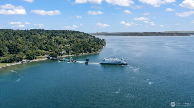 24186 Vashon Hwy SW, Vashon, WA 98070 - water view with a heavily wooded area