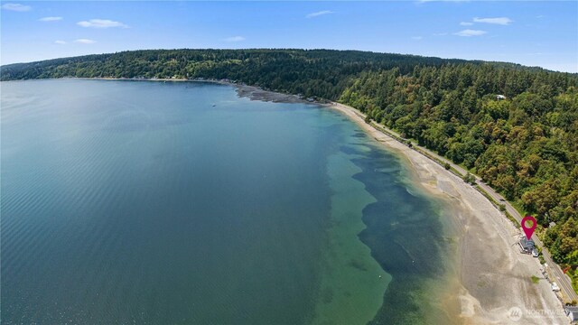 24186 Vashon Hwy SW, Vashon, WA 98070 - bird's eye view of a forest and a nearby body of water