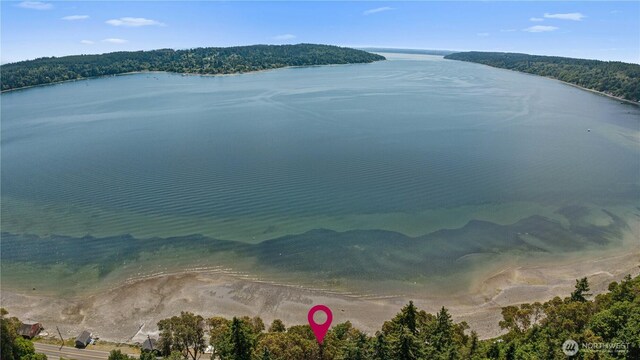 24186 Vashon Hwy SW, Vashon, WA 98070 - water view with a forest