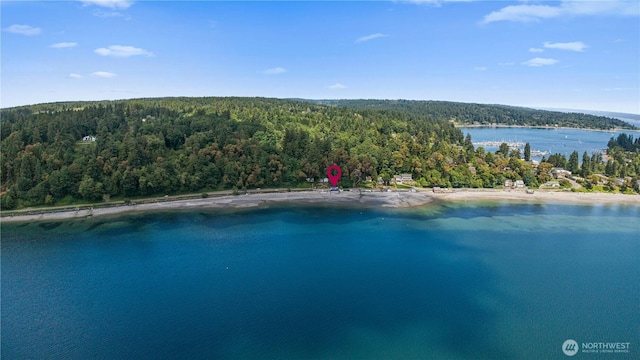 24186 Vashon Hwy SW, Vashon, WA 98070 - aerial view of a heavily wooded area and a nearby body of water
