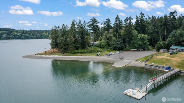 24186 Vashon Hwy SW, Vashon, WA 98070 - water view with a heavily wooded area