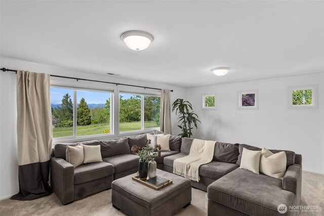 35204 SE Augusta Pl, Snoqualmie, WA 98065 - photo 28