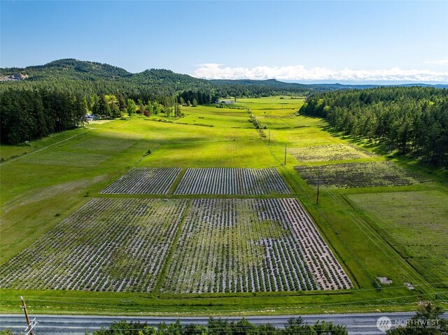 280 Dolphin Bay Rd, Orcas Island, WA 98245 - photo 36