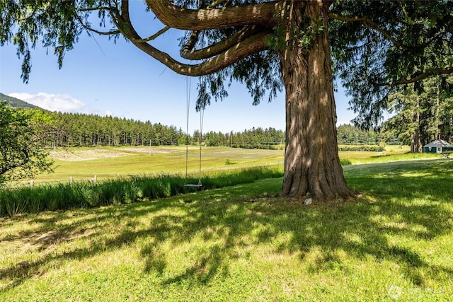 280 Dolphin Bay Rd, Orcas Island, WA 98245 - photo 21