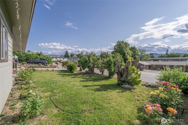 1011 N Dolfay Ln, East Wenatchee, WA 98802 - view of green lawn