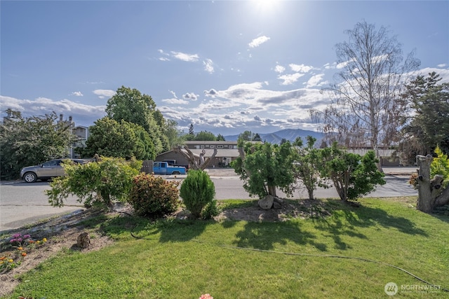 1011 N Dolfay Ln, East Wenatchee, WA 98802 - view of green lawn featuring a mountain view