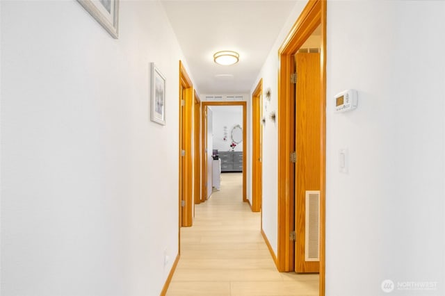 1701 E Burr Ave Unit 36, Moses Lake, WA 98837 - hallway with light wood-type flooring and baseboards