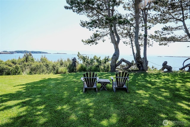 62 Wildwood Ln, Lopez Island, WA 98261 - view of grassy yard with a water view