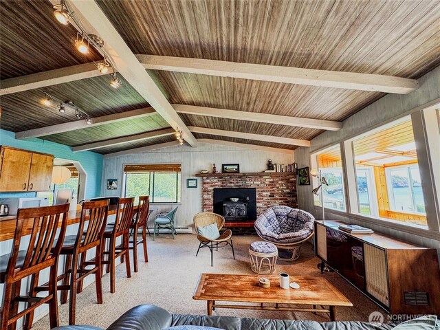 62 Wildwood Ln, Lopez Island, WA 98261 - living room featuring track lighting, carpet, wooden ceiling, and a baseboard heating unit