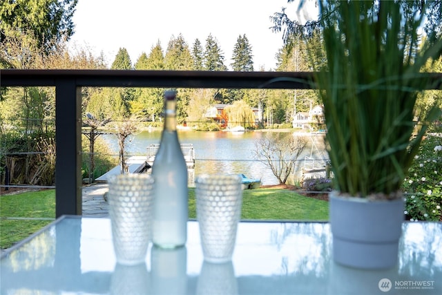 2942 222nd Pl SE, Sammamish, WA 98075 - view of property's community with a water view and a lawn