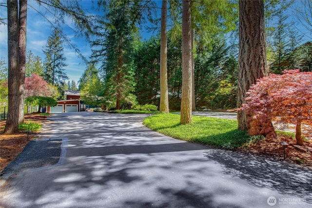 2942 222nd Pl SE, Sammamish, WA 98075 - view of asphalt driveway