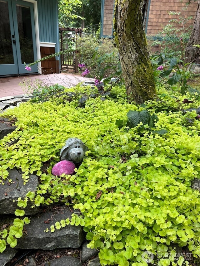2942 222nd Pl SE, Sammamish, WA 98075 - view of yard with french doors