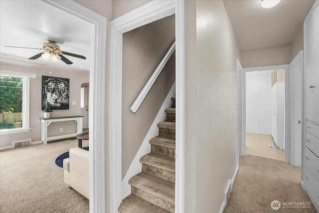 6712 A St, Tacoma, WA 98408 - stairs featuring carpet floors, a ceiling fan, and baseboards