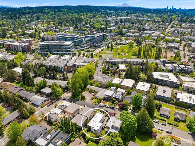 332 6th Ave, Kirkland, WA 98033 - bird's eye view