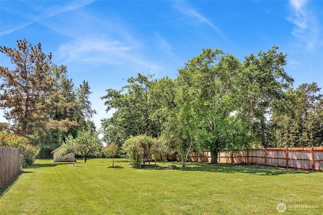3125 Mcleod Rd, Bellingham, WA 98225 - view of yard
