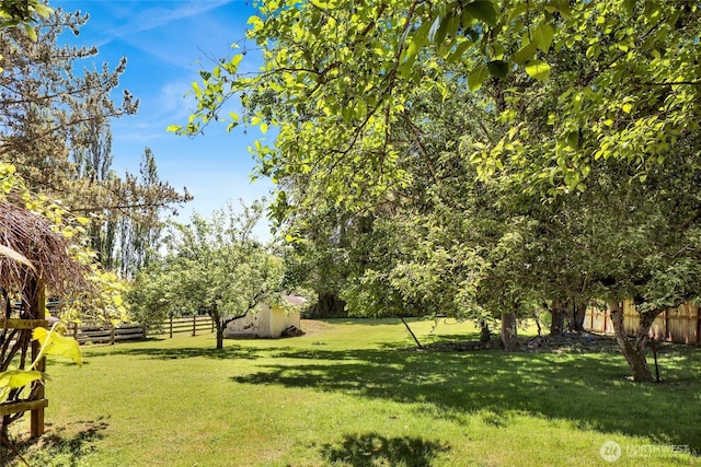 3125 Mcleod Rd, Bellingham, WA 98225 - view of yard