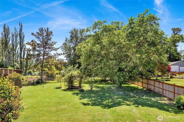 3125 Mcleod Rd, Bellingham, WA 98225 - view of yard