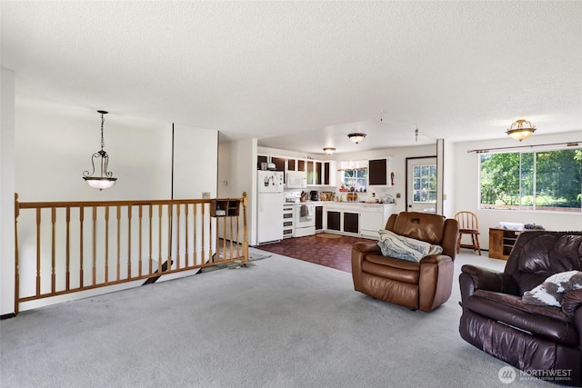 3125 Mcleod Rd, Bellingham, WA 98225 - living area with dark colored carpet and a textured ceiling