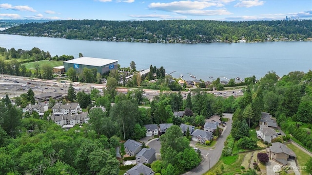 7320 111th Pl SE, Newcastle, WA 98056 - aerial view of property's location featuring a large body of water and nearby suburban area