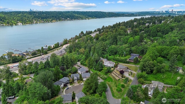 7320 111th Pl SE, Newcastle, WA 98056 - aerial overview of property's location with a forest and a nearby body of water