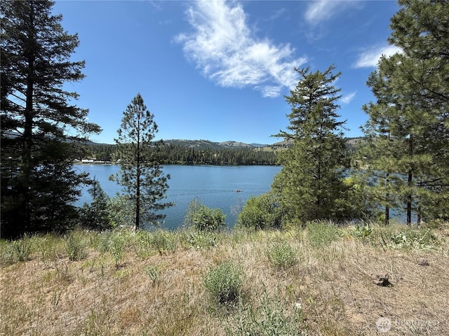 0 Dollar Bar Beach Rd, Republic, WA 99166 - photo 2
