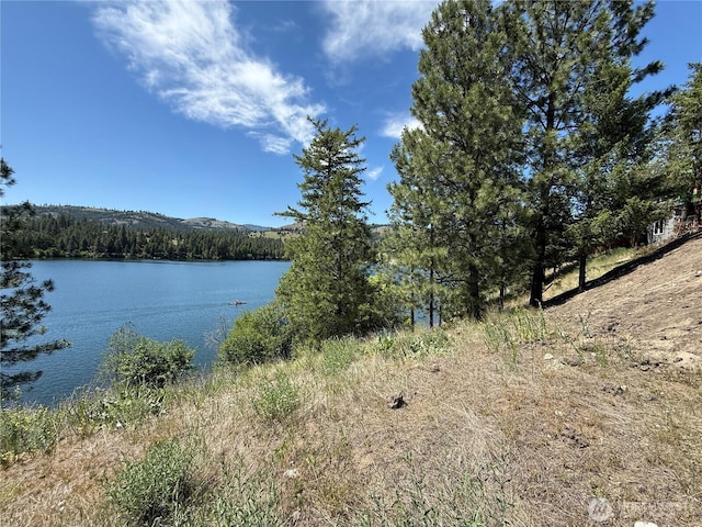 0 Dollar Bar Beach Rd, Republic, WA 99166 - photo 3