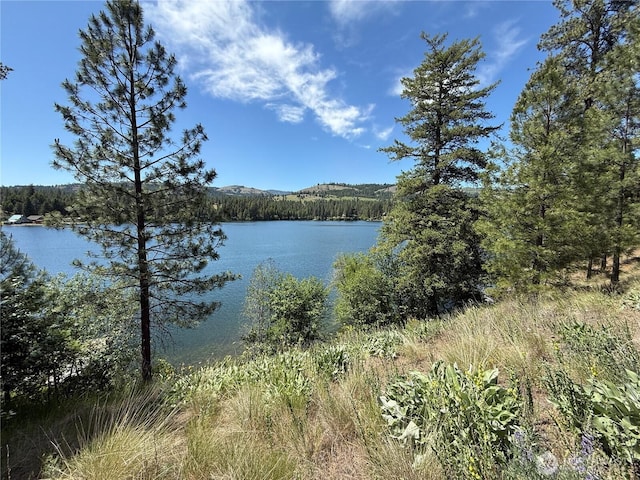 0 Dollar Bar Beach Rd, Republic, WA 99166 - photo 5
