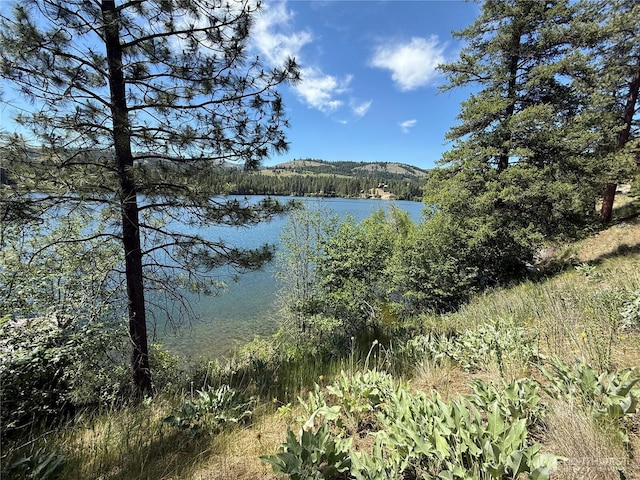 0 Dollar Bar Beach Rd, Republic, WA 99166 - photo 6