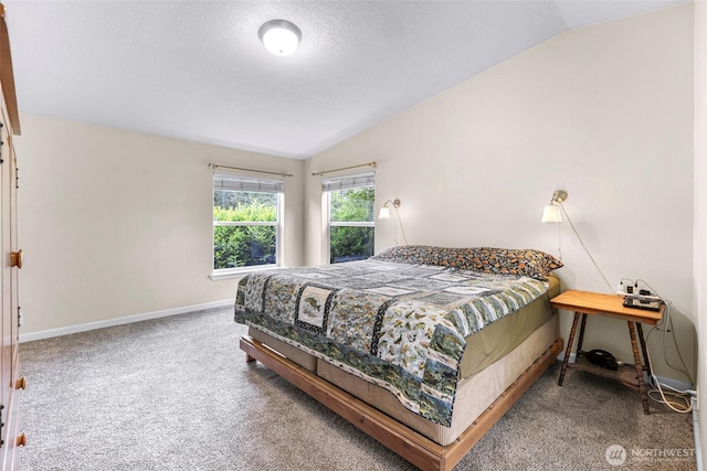 2957 Unick Rd, Ferndale, WA 98248 - bedroom with lofted ceiling, carpet floors, baseboards, and a textured ceiling