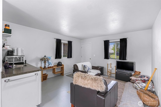 2957 Unick Rd, Ferndale, WA 98248 - living area featuring concrete floors