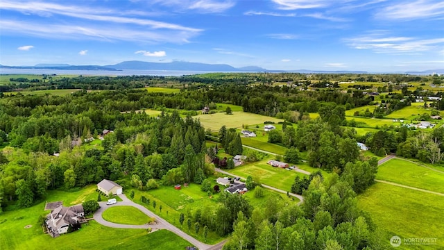 2957 Unick Rd, Ferndale, WA 98248 - aerial view of mountains