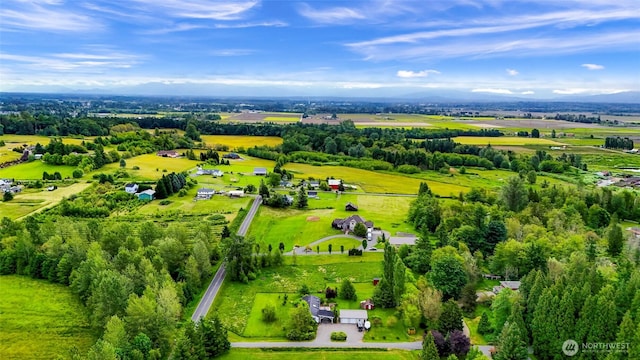 2957 Unick Rd, Ferndale, WA 98248 - view of rural area featuring a tree filled landscape
