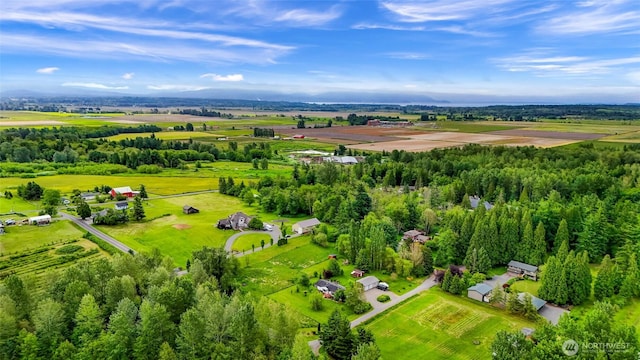 2957 Unick Rd, Ferndale, WA 98248 - view of rural area