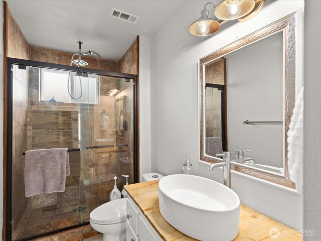 12020W Engebretsen Rd, Granite Falls, WA 98252 - bathroom with toilet, vanity, and a shower stall