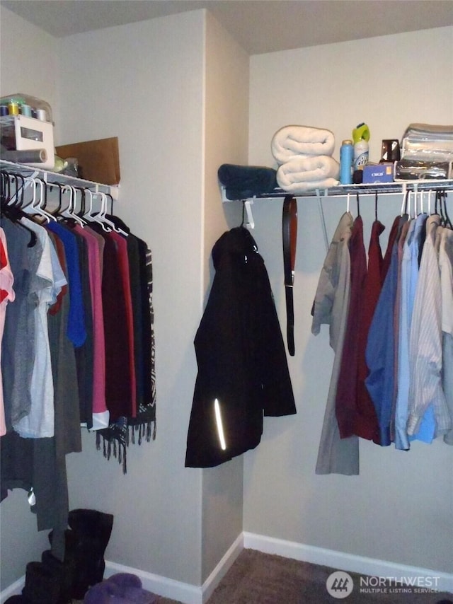 8727 E Gilman Ave, Arlington, WA 98223 - view of spacious closet