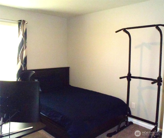 8727 E Gilman Ave, Arlington, WA 98223 - view of bedroom