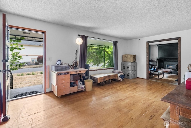 9139 Burnett Rd SE, Yelm, WA 98597 - living area featuring light wood-style flooring and a textured ceiling