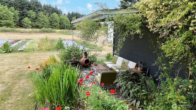 9139 Burnett Rd SE, Yelm, WA 98597 - view of yard