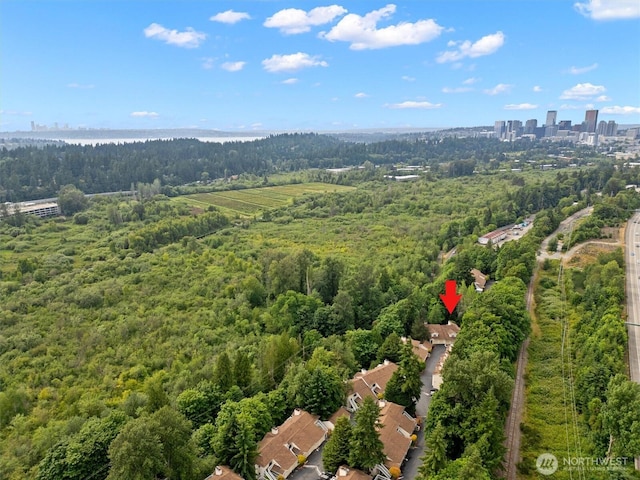 2540 118th Ave SE Unit 202, Bellevue, WA 98005 - photo 26