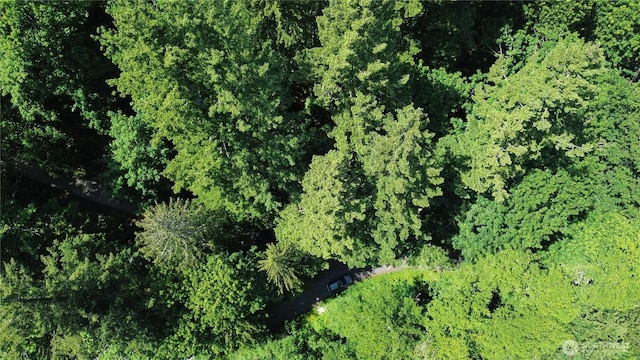 3068NHN Ash Way, Sedro Woolley, WA 98284