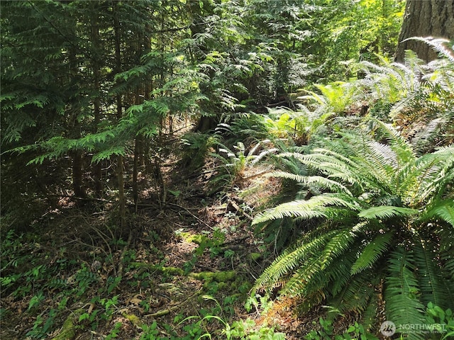 3068NHN Ash Way, Sedro Woolley, WA 98284