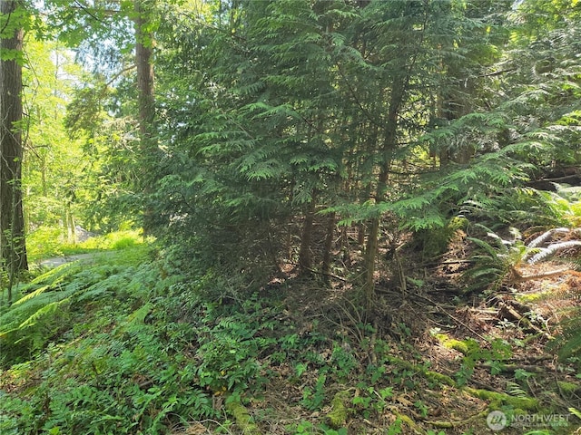 3068NHN Ash Way, Sedro Woolley, WA 98284