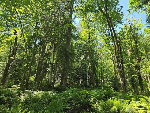 3068NHN Ash Way, Sedro Woolley, WA 98284