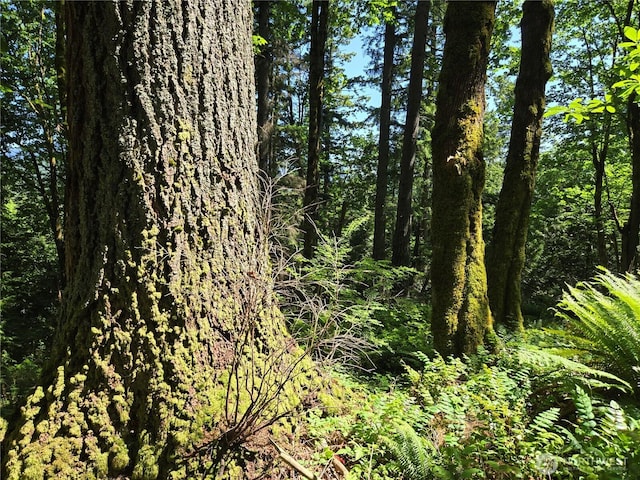 3068NHN Ash Way, Sedro Woolley, WA 98284