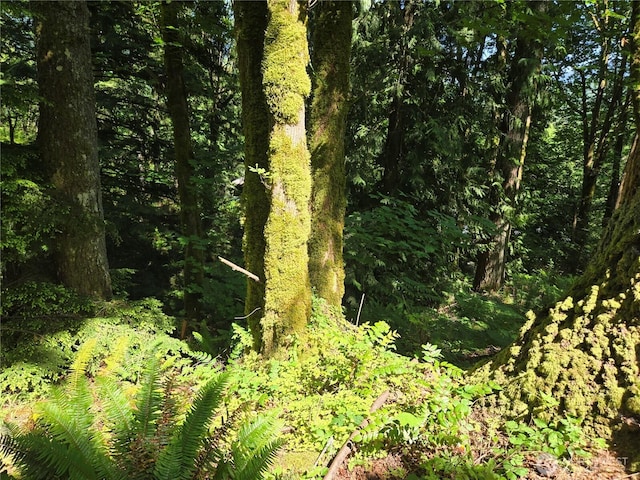 3068NHN Ash Way, Sedro Woolley, WA 98284