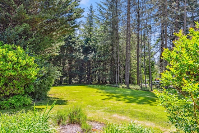 8300 NE 316th St, La Center, WA 98629 - photo 34